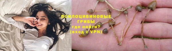 PSILOCYBIN Абинск