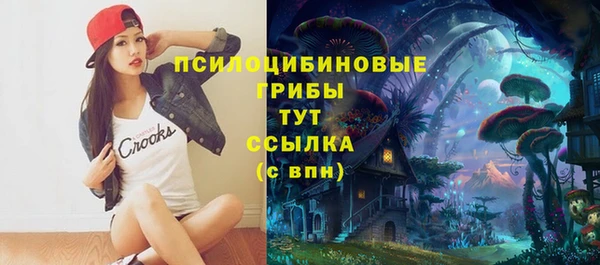 apvp Осинники